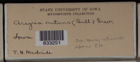 Image Associated With the Occurence